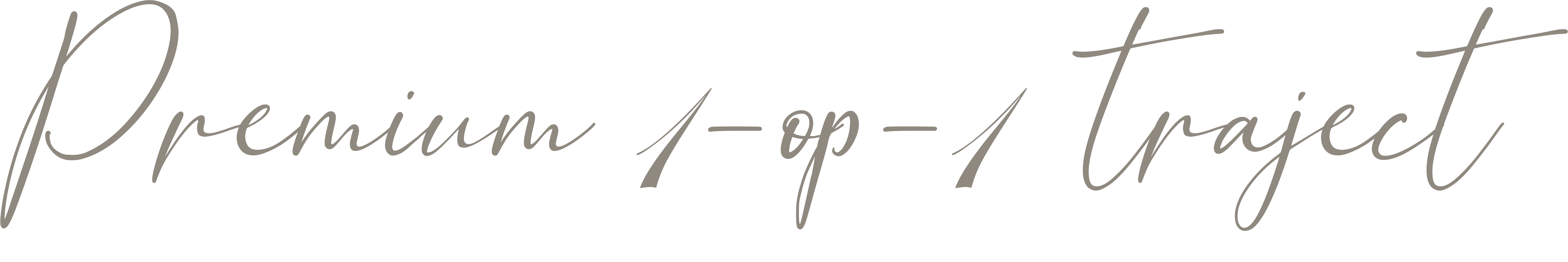 SHE-Feels-premium-1-op-1-traject